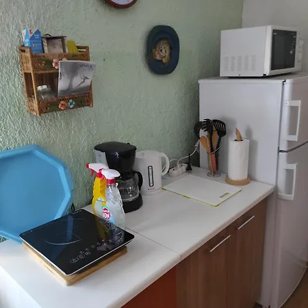 Maja * Višnjan